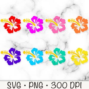 Hibiskus Clipart, Hibiskus SVG, Hibiskus PNG, Hibiskus Blume Clipart, farbige Hibiskusblüten, Tropische Blumen, digitale Download-Datei