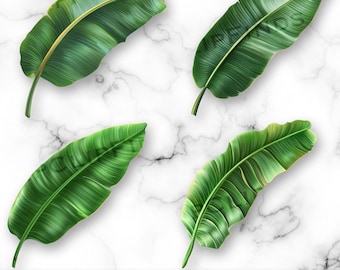 May include: Four green banana leaves isolated on a white marble background. The leaves are arranged in a symmetrical pattern, with two leaves at the top and two leaves at the bottom.