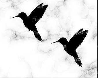 Colibrì SVG, Sagoma di Colibrì, Colibrì PNG, Colibri, Uccello Tropicale, Sublimazione, Vettoriale, Floreale, File Digitale Scaricabile