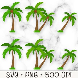 Kokospalm, SVG, PNG, instant digitale download