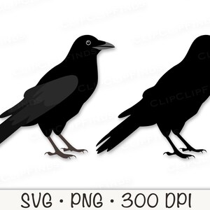 Two Crows Svg Crow Clip Art: Hand-drawn Bird SVG, PNG (digital Download) - Etsy