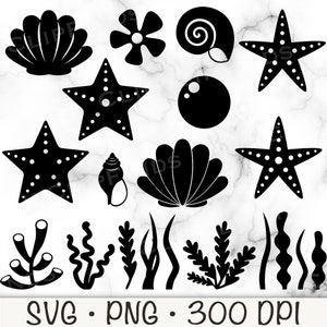 May include: Black and white digital illustrations of various sea-themed elements, including starfish, seashells, a pearl, and aquatic plants. The image also includes the text "SVG • PNG • 300 DPI".