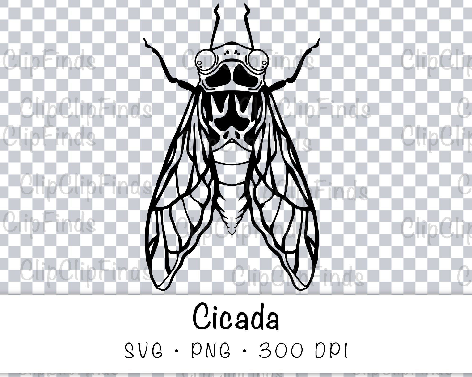 Cicada SVG Vector File and PNG Transparent Background Clip Art - Etsy