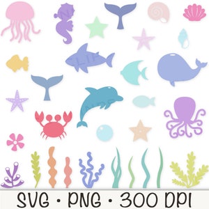 Meerestiere SVG, Seetier Formen PNG, Seegras, Algen, Delfin, Wal, Hai, Meerjungfrau Schwanz, Muschel, Krabbe, Seestern, Seepferdchen, Krake