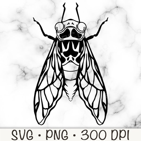 Cicada SVG, Cicada PNG, Cicada Clip Art, Cicada Vector File, Cicada Transparent Background, Cicada Outline, Digital Download
