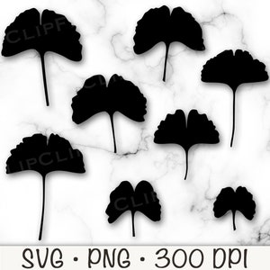 Ginkgo Leaf SVG, Ginkgo Leaf PNG, Ginkgo Leaf Silhouette, Ginkgo Biloba, Digital Download