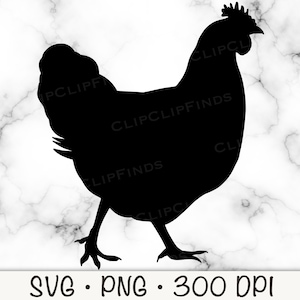 Poulet SVG, poule, fichier vectoriel coupé et fond transparent PNG, sublimation, clipart, téléchargement numérique instantané