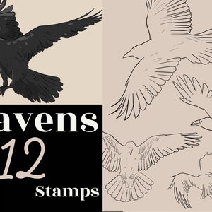 Procreate Neo Traditional Raven, Procreate Tattoo Stempel und Pinsel, Procreate Crow Stempel, Procreate Birds - Kommerzielle Nutzung