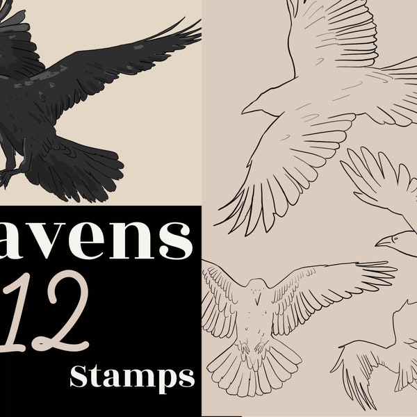 Procreate Neo Traditional Raven, Procreate tattoo stamps and brushes, Procreate Crow Stamps, Procreate Birds - Commercial Use