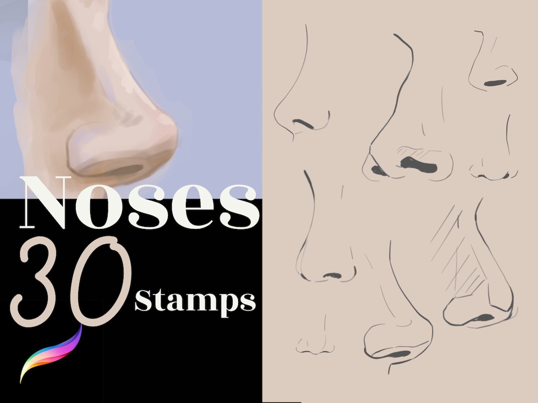 Procreate Noses Stamp Brushes Procreate Nose Stamps Etsy