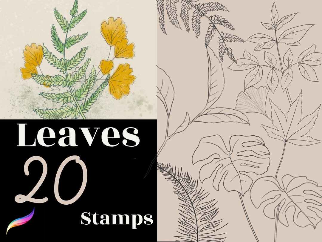 20 Leaves Procreate Stamps , Procreate Botanical, Procreate Leaf Floral ...