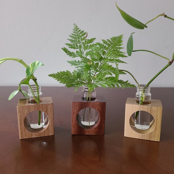 Small Desktop single Stem Vase Propagation Stand Minimalist Modern Handmade Solid Wood