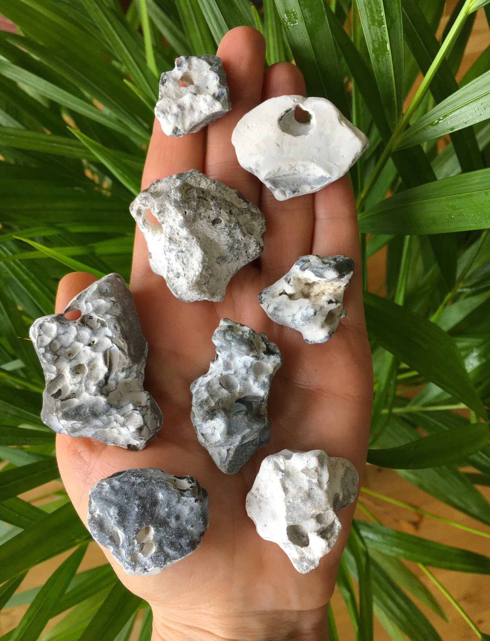 Hag Stein Anhänger 30 natürliche weiße und graue holey Steine | Etsy