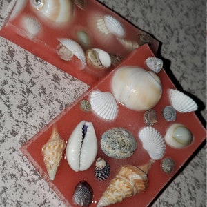 May include: Two rectangular pink resin blocks with various seashells embedded inside. The shells are white, brown, and gray.