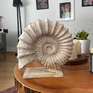 Large Sea Shell Sculpture Statue, 11 Inches,Home Decor, Housewarming gifts, Wedding Gifts, Cream Sculpture,Garden statue