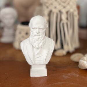 Handmade Charles Darwin Statue: Evolution Theory Architect, 4.33 in