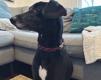 Macrame Dog Collar | Macrame Pet Collar | Boho Dog Collar | Dog Gift Cat Gift Pet Gift | Customizable Dog Collar | Pet Accessory