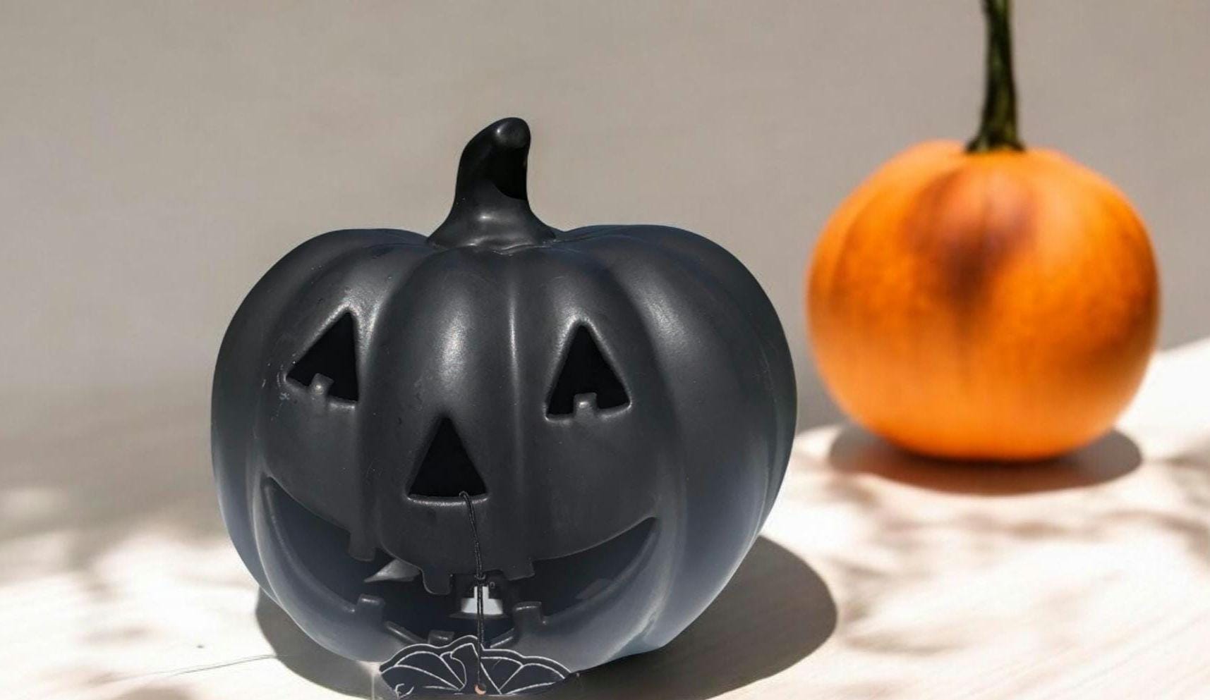 サングラス ^ONE BRILLIANT^ TitusOB337Pumpkin Titus-OB337-Pumpkin Pumpkin, Racer Plus Hybrid, Pumpkin: J.W. Jung Seed Company