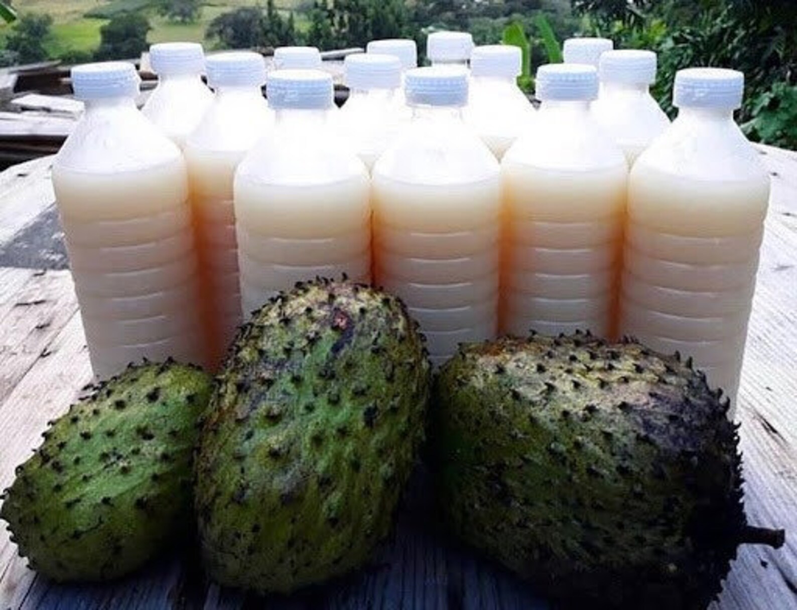 Organic Soursop Juice Etsy