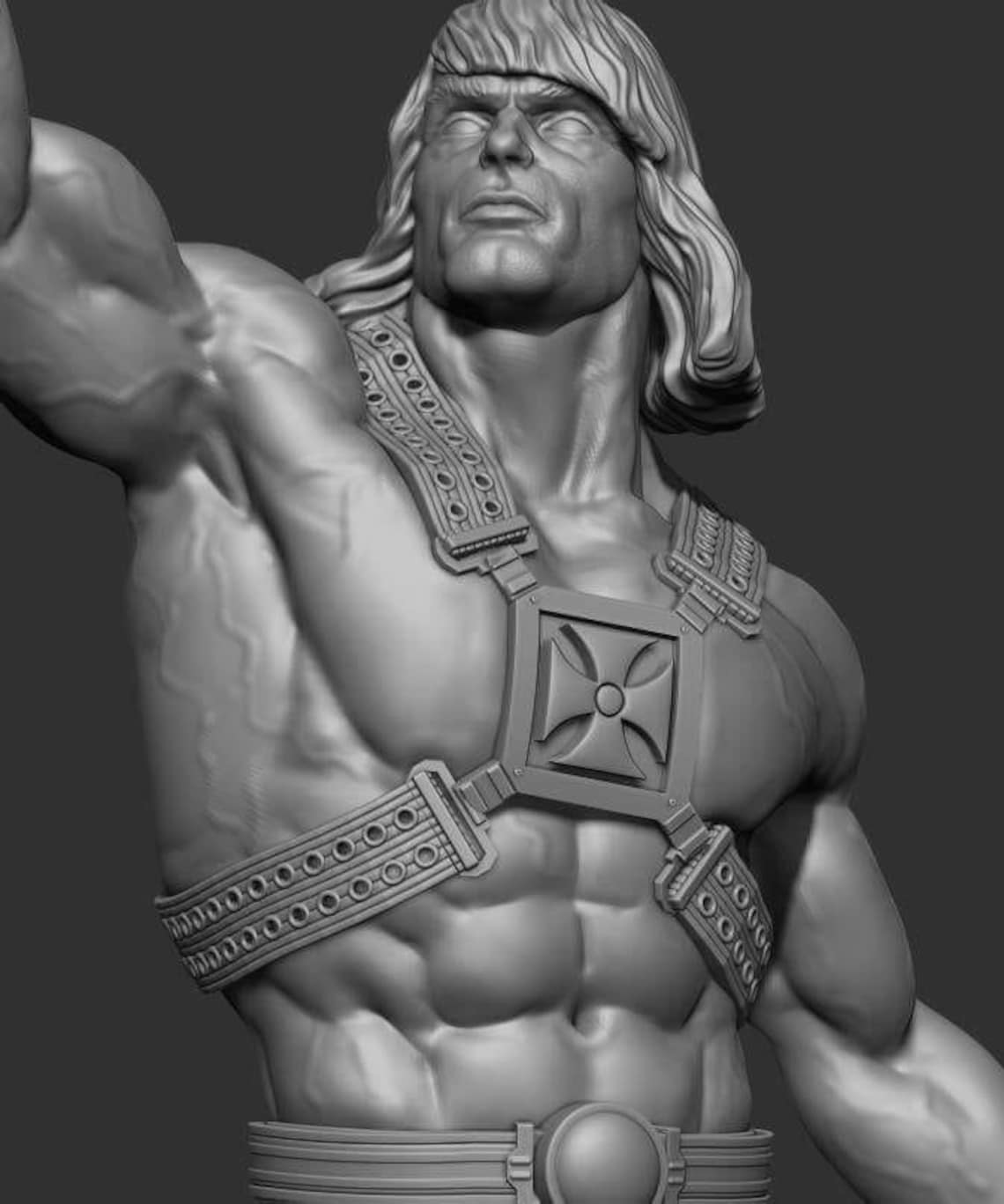 3d printed he man