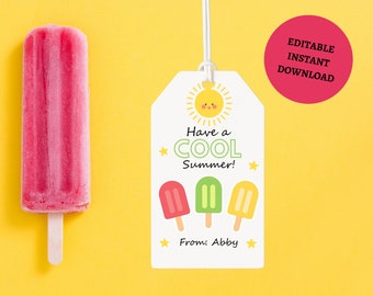 Editable Last Day of School Tag Stay Cool Ice Tag Summer End Of School Year Tag Freeze Ice Cool Treat ,Printable gift tag, end of school tag