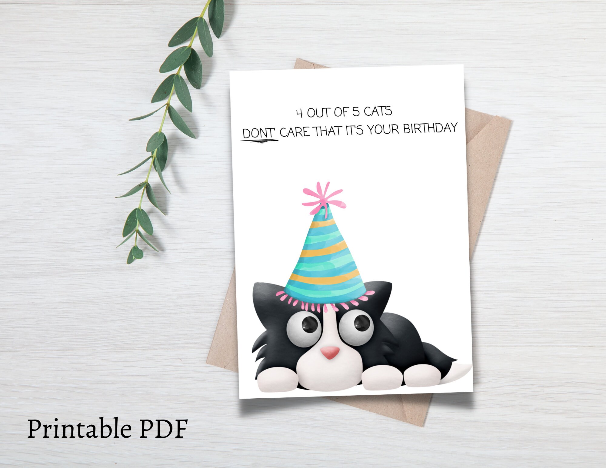 Cat Birthday Card, Funny Cat Card, Birthday Card for Crazy Cat Lady ...