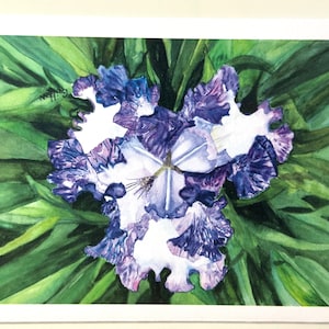 Floral Notecard Set – Iris Watercolor Blank Cards with Envelopes