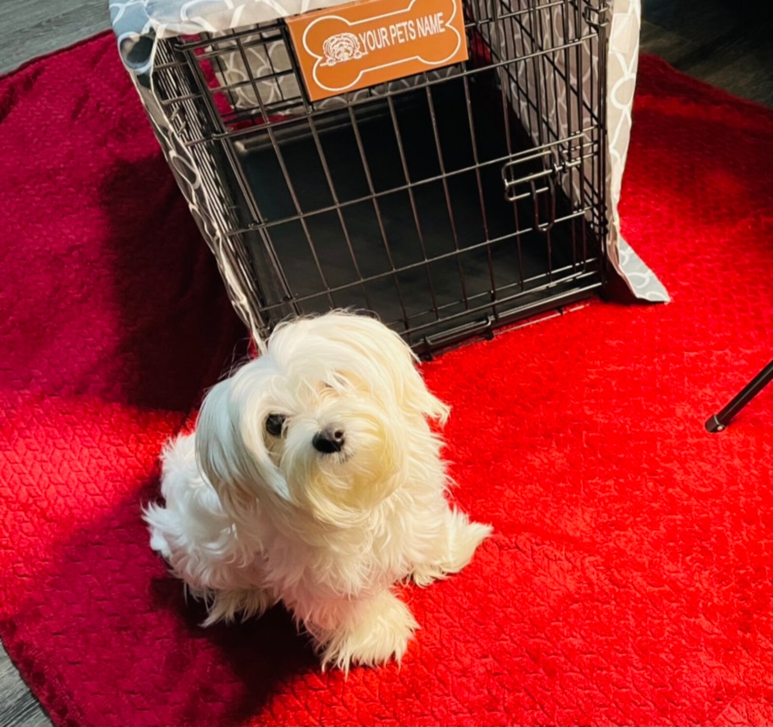 Kennel Pet tags Etsy