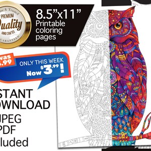 PDF, JPEG Digital Adult Coloring Pages, Printable Coloring Page 8.5&#39;&#39;x 11&#39;&#39;. Bear coloring page. Digital Coloring book.