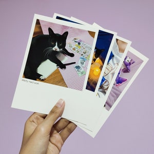 Donnez-moi un pourboire [ Recevez une carte postale de mon chat au hasard]