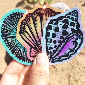 Hawaii Shell Sticker Set of 3, Water Bottle Sticker Hawaiʻi, Glitter Waterproof Sticker, ʻOpihi Sticker, Drupe Shell, Sunrise Shell Sticker