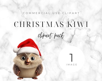 Baby Christmas Kiwi Clipart Graphic | SINGLE IMAGE | for commercial use, Transparent Png, Kiwi, NZ, graphics, wall art