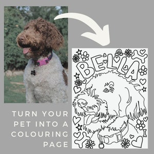 Custom Digital File - Custom Pet Portrait - Printable Colouring Pages - Kids Coloring book - For Kids - For Girls - For Pet Lovers