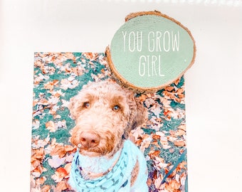 You Grow Girl Wooden Magnet - Kitchen Magnets - Office - Classroom - Kitchen Home Decor - Fridge Magnet - Gifts for Friends - Coworkers