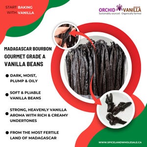 Grade A Bourbon Madagascar Gourmet Vanilla Beans - Canada | Best for Instant Cooking, Baking, Making Vanilla Paste & Pure Vanilla Extract