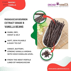 Extract Grade B Madagascar Vanilla Beans - Canada | Best for Making Vanilla Paste, Powder & Home Made Pure Vanilla Extract | Vacuumed Pack