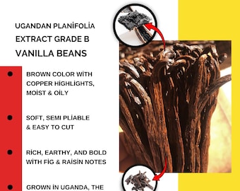 Ugandan Extract Grade-B Vanilla Beans - 5-7" Pods by Pound