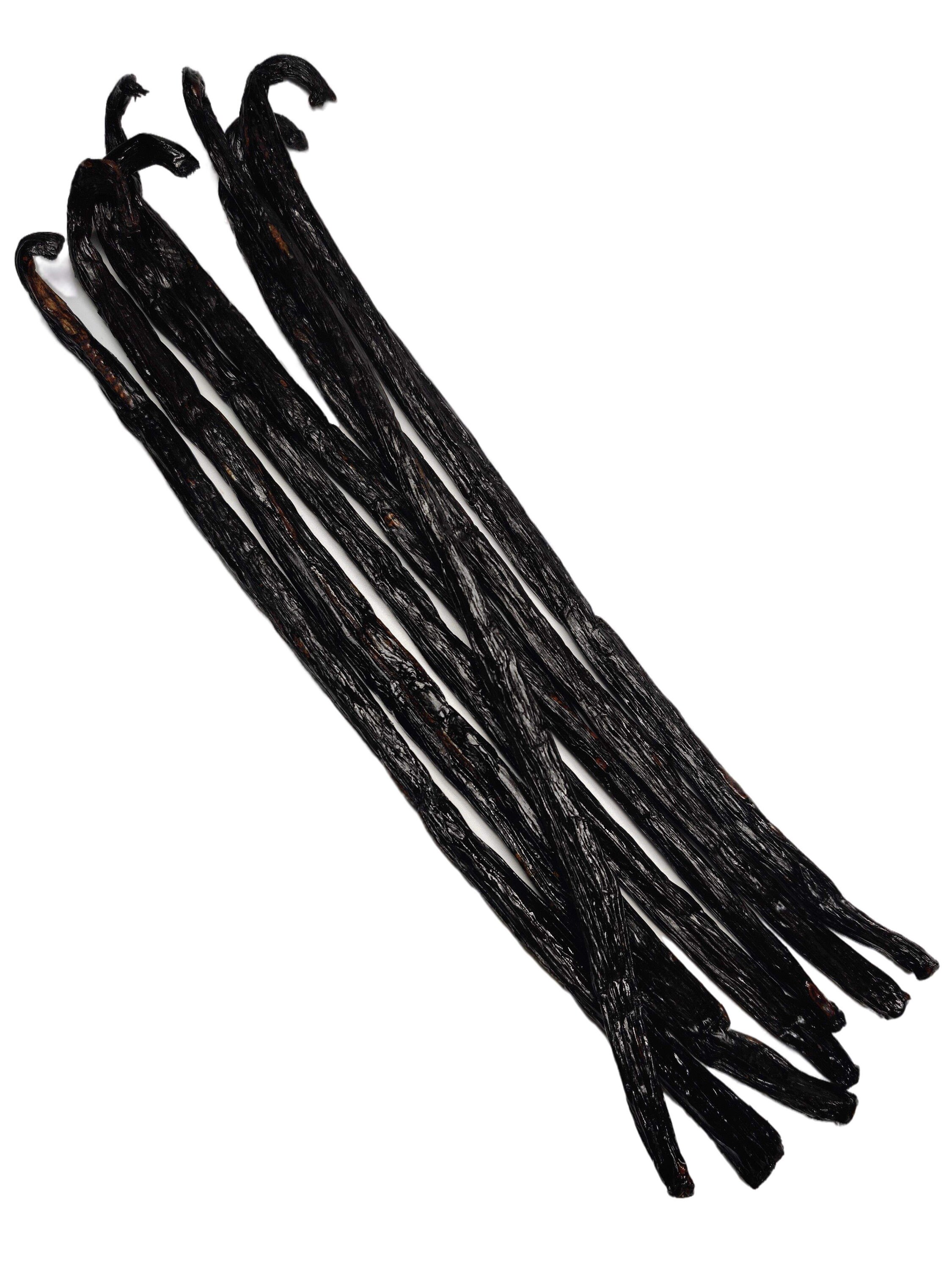 Gradea Madagascar Gourmet pompona Mexican Cure Vanilla Beans Etsy