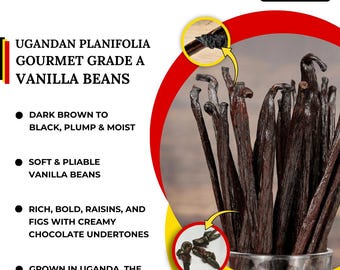 Uganda Vanilla Beans Grade-A Gourmet - 5-7" Plump Pods