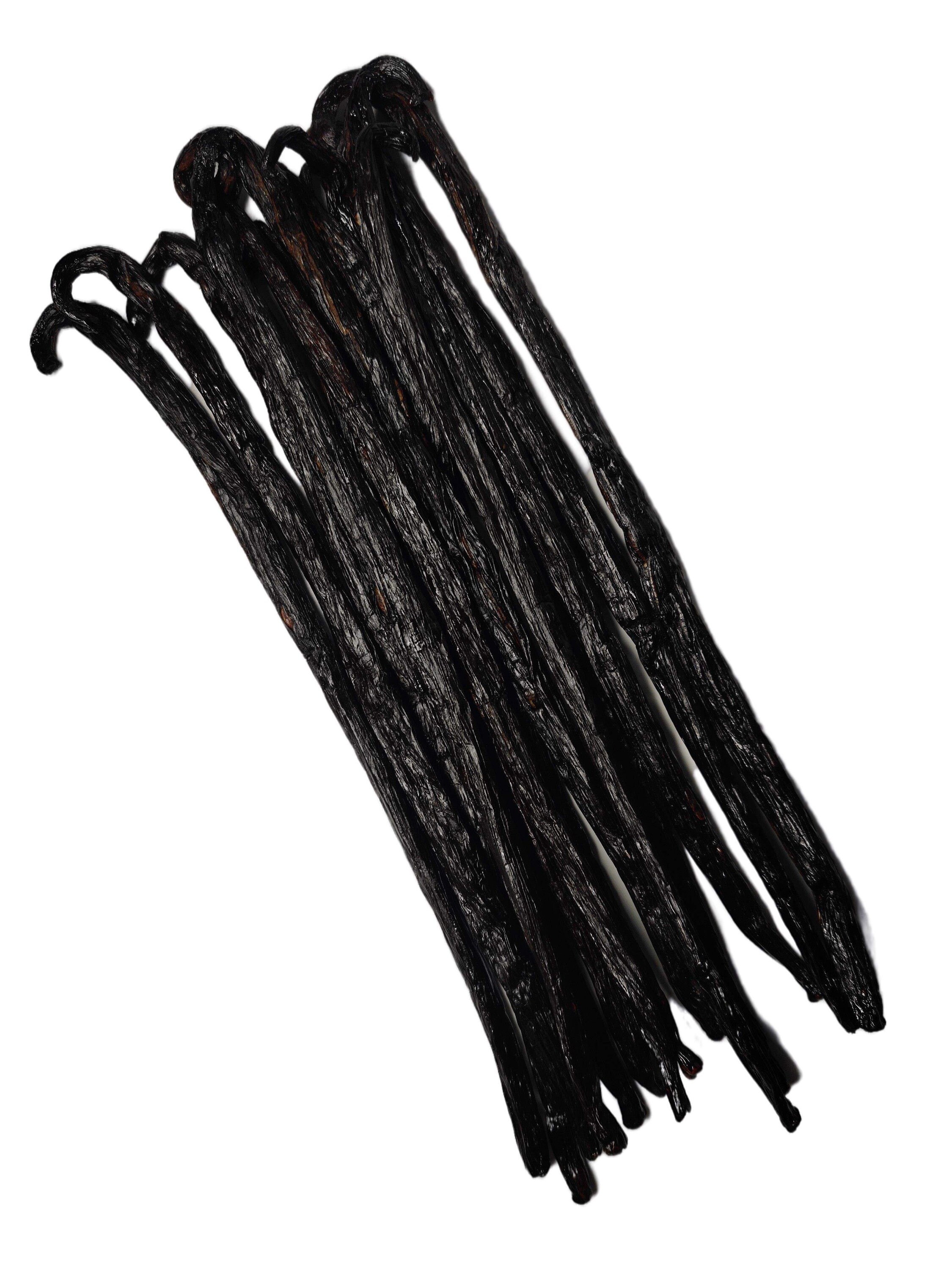Gradea Madagascar Gourmet pompona Mexican Cure Vanilla Beans Etsy