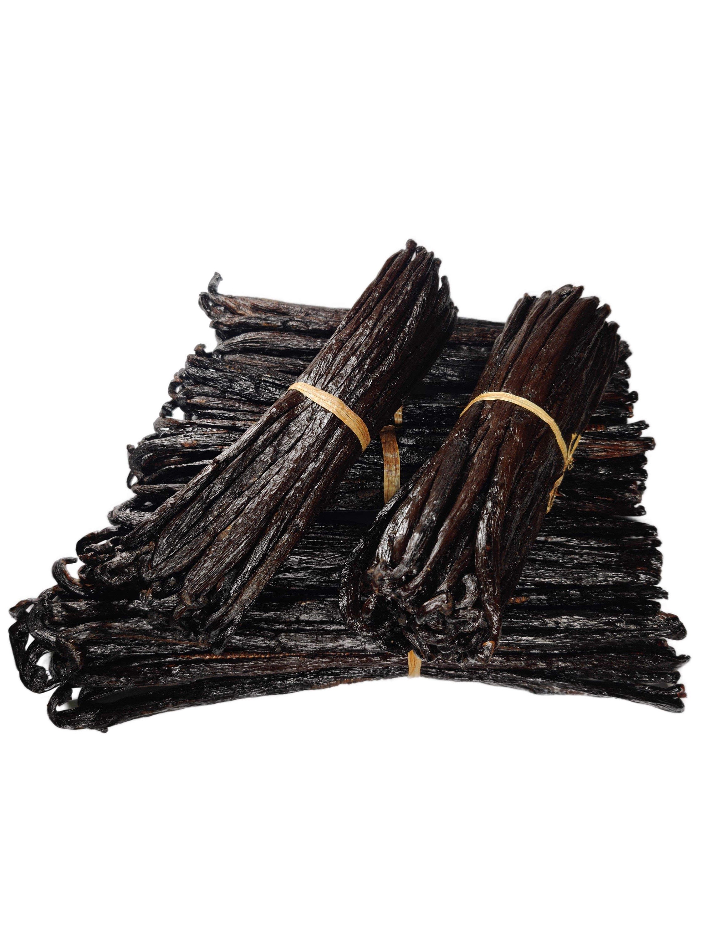 Gradea Madagascar Gourmet pompona Mexican Cure Vanilla Beans Etsy