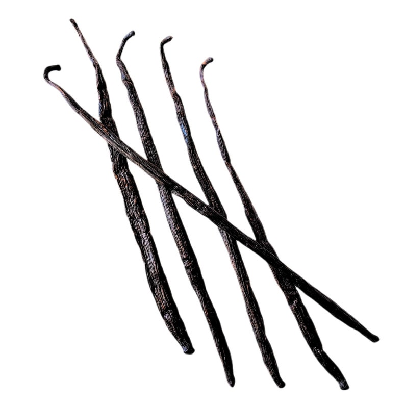 Extract Grade B Madagascar Vanilla Beans Canada Best for Making Vanilla