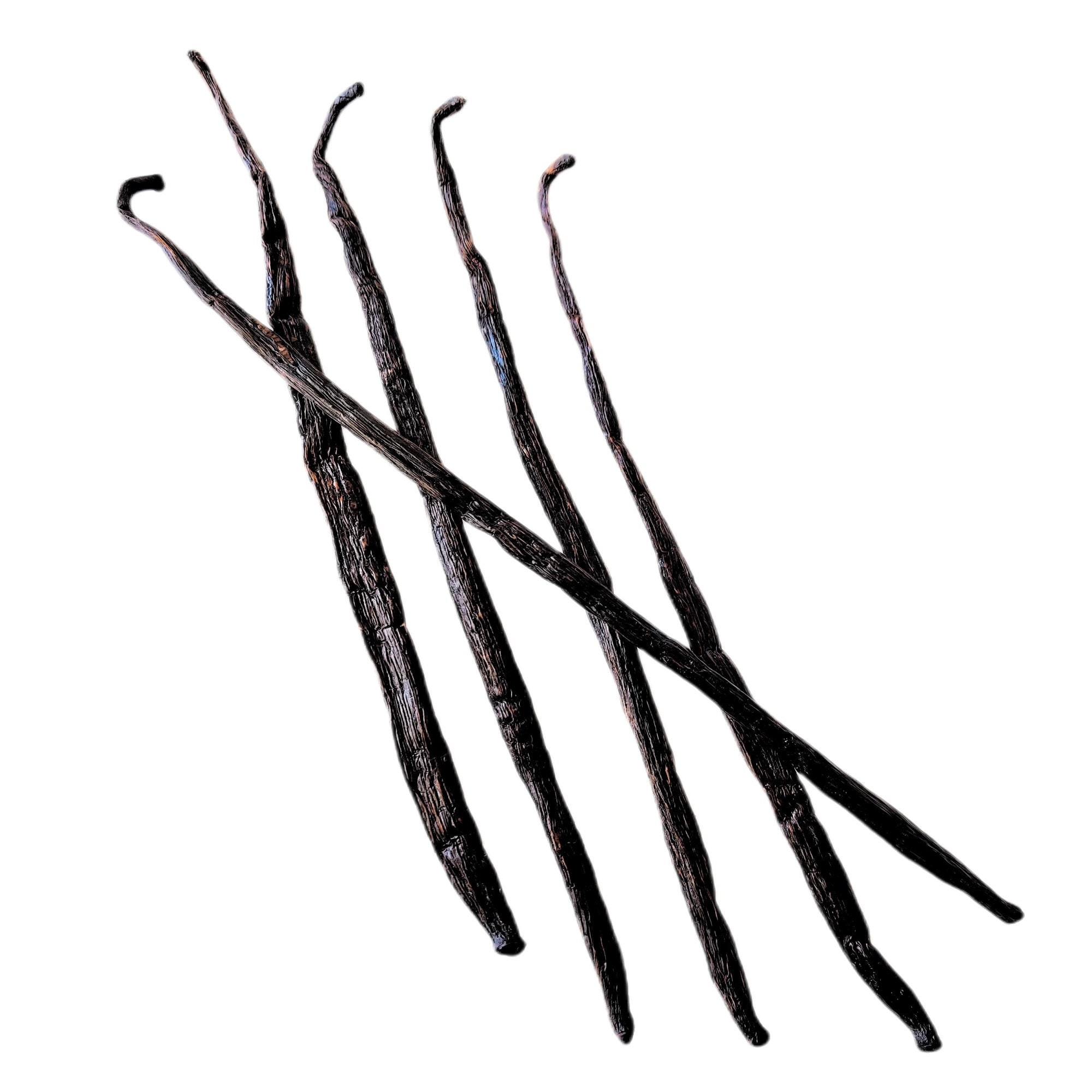 Extract Grade B Madagascar Vanilla Beans Canada Best for Making Vanilla