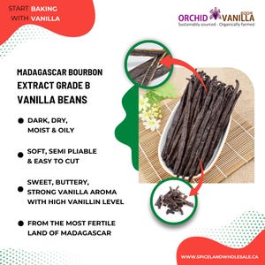 Madagascar Extract Grade B Bourbon Vanilla Beans - Canada | Makes Powder & Vanilla Extract | Vacuumed Pack