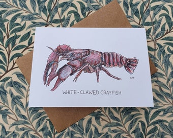 White-Clawed Crayfish Greetings Card - Art Card - Notecard - Mini Print