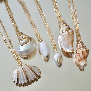 Natural seashell hot sale necklace