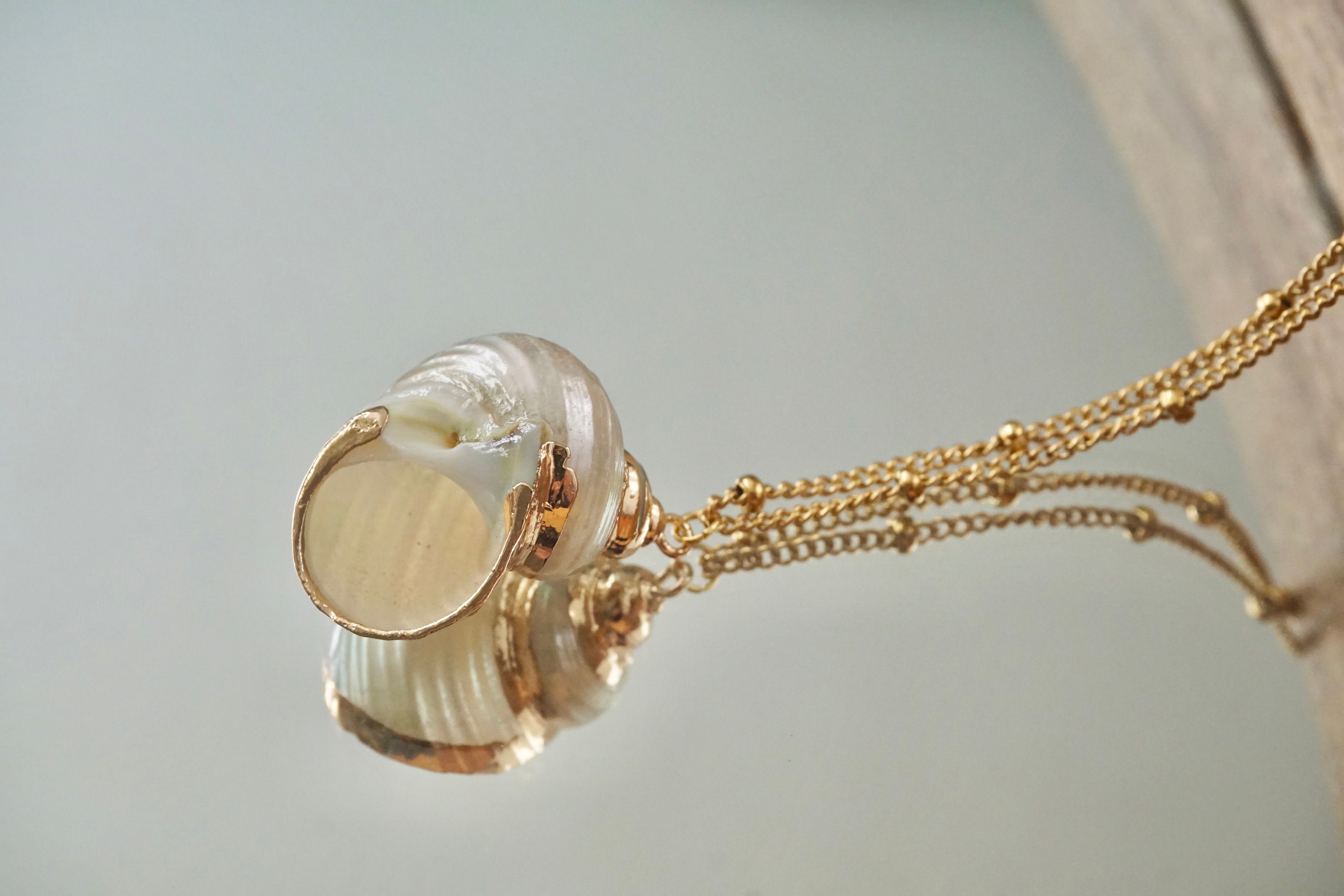 Natural Seashell Necklace, Boho Jewelry, Seashell Pendant Necklace, Cowrie Adjustable Necklace, Beach Wedding, Ocean Jewelry