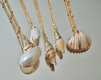 Seashell jewelry | Etsy