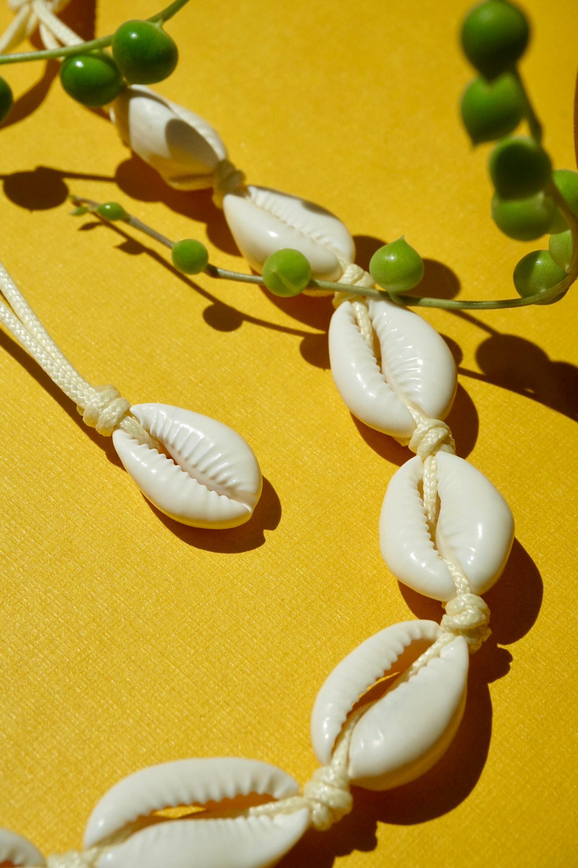 Shell Choker Shell Bracelet Boho Jewelry Seashell Summer Etsy