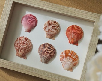 Art mural coquillage, décoration pastel pétoncles